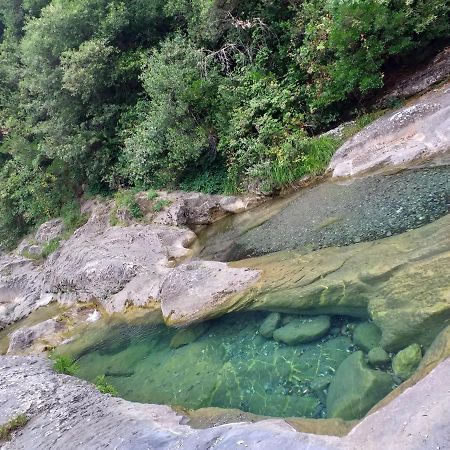 Appartamento L'ortensia Pigna Esterno foto