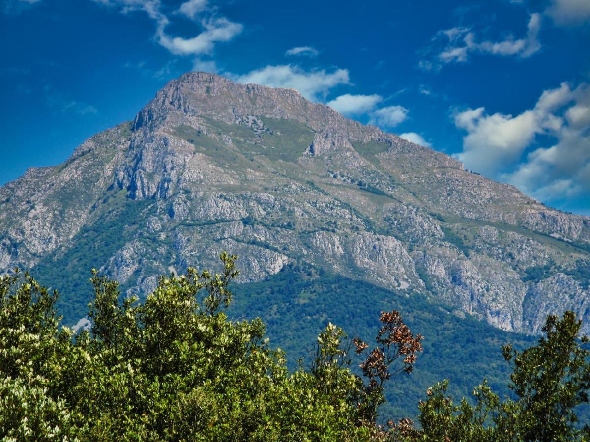 Appartamento L'ortensia Pigna Esterno foto