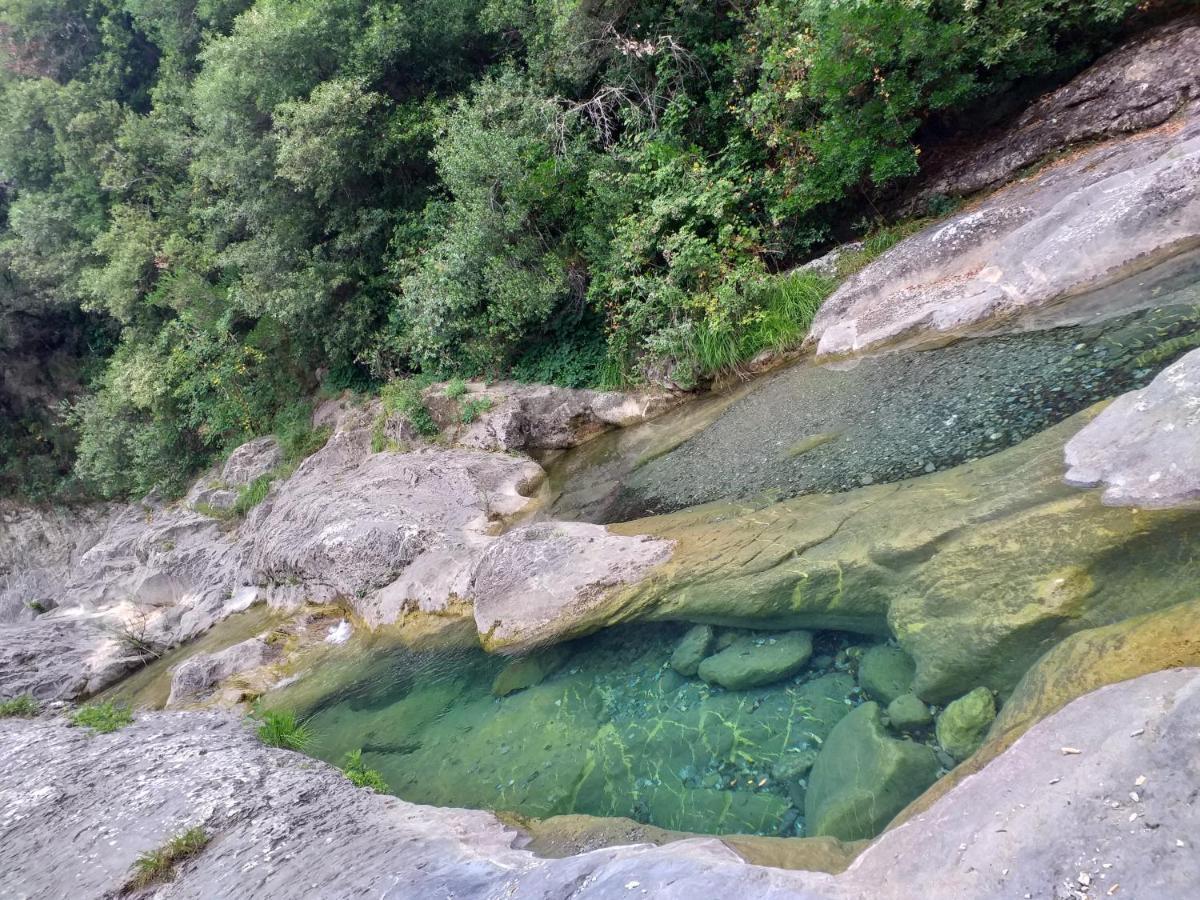 Appartamento L'ortensia Pigna Esterno foto
